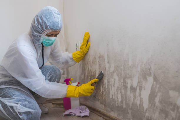 Best Biohazard Mold Removal  in North Browning, MT