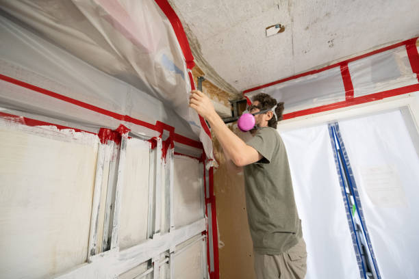 Best Mold Odor Removal Services  in North Browning, MT